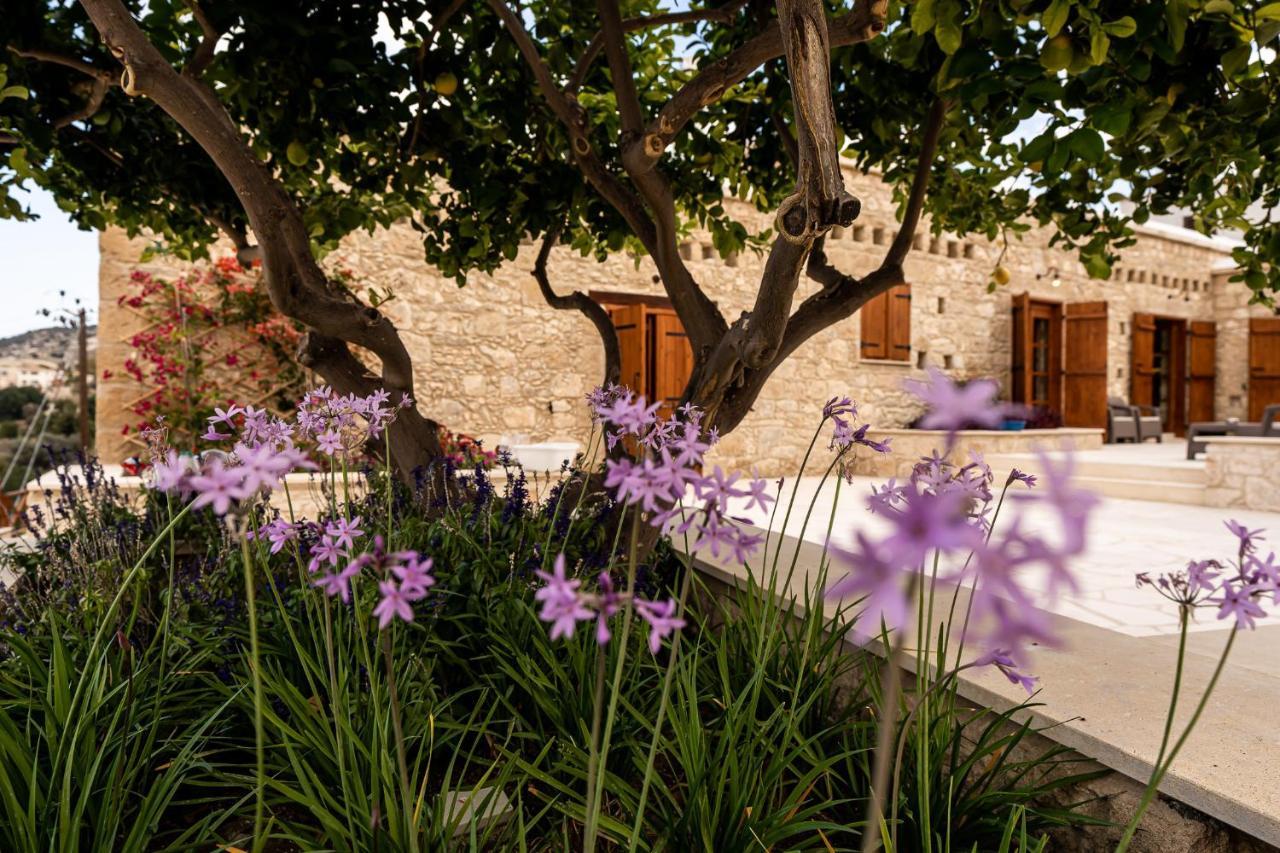 Harma Traditional Boutique Suites Paphos Exterior foto